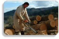cutting wood